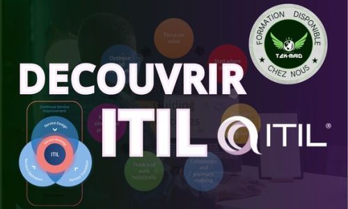 Miniature du cours