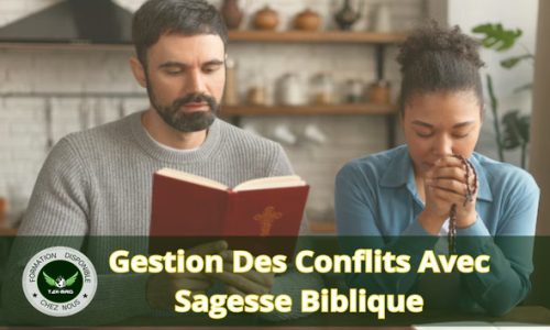 Miniature du cours